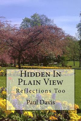 Hidden in Plain View: Volume 2 1