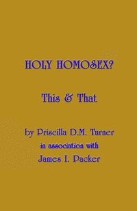 bokomslag Holy Homosex?