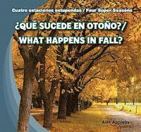 ¿Qué Sucede En Otoño? / What Happens in Fall? 1