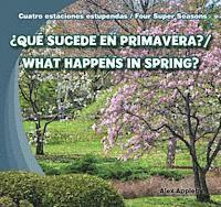 ¿Qué Sucede En Primavera? / What Happens in Spring? 1