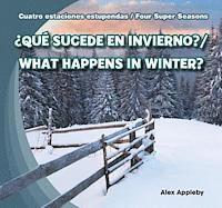 ¿Qué Sucede En Invierno? / What Happens in Winter? 1