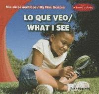 bokomslag Lo Que Veo / What I See