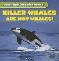 Daisy Allyn - Killer Whales Are Not Whales!, Häftad