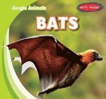 bokomslag Bats