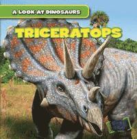 Daisy Allyn - Triceratops, Häftad
