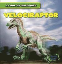 bokomslag Velociraptor