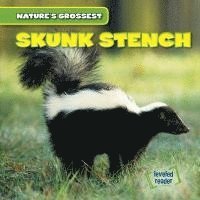 bokomslag Skunk Stench