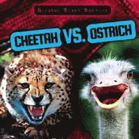 bokomslag Cheetah vs. Ostrich