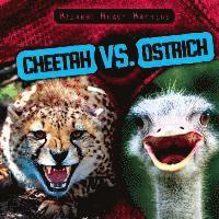 bokomslag Cheetah vs. Ostrich