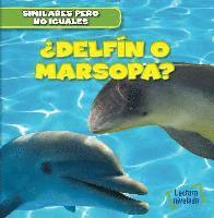 bokomslag ¿Delfín O Marsopa? (Dolphin or Porpoise?)