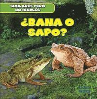 bokomslag ¿Rana O Sapo? (Frog or Toad?)