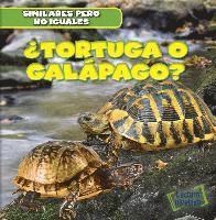 bokomslag ¿Tortuga O Galápago? (Turtle or Tortoise?)