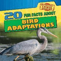 Sarah Machajewski - 20 Fun Facts about Bird Adaptations, Häftad