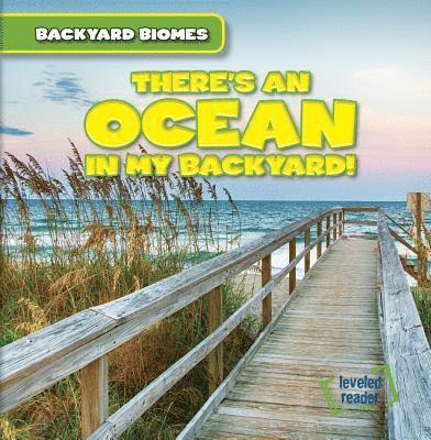 Seth Lynch - There's an Ocean in My Backyard!, Häftad. Tillgänglighet: Tillfälligt slut