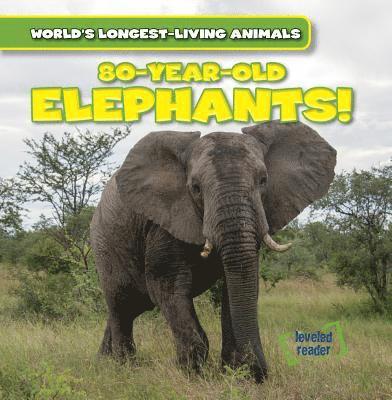Leonard Atlantic - 80-Year-Old Elephants!, Häftad