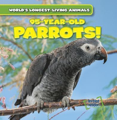 Leonard Atlantic - 95-Year-Old Parrots!, Häftad