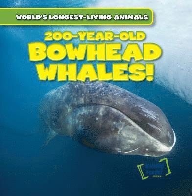 Leonard Atlantic - 200-Year-Old Bowhead Whales!, Häftad