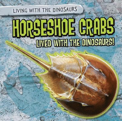 Sarah Machajewski - Horseshoe Crabs Lived with the Dinosaurs!, Inbunden