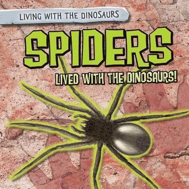 bokomslag Spiders Lived with the Dinosaurs!