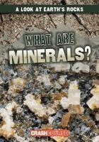 Kristen Rajczak Nelson - What Are Minerals?, Häftad