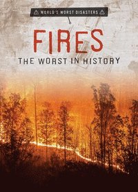 bokomslag Fires: The Worst in History