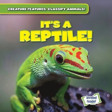 bokomslag It's a Reptile!