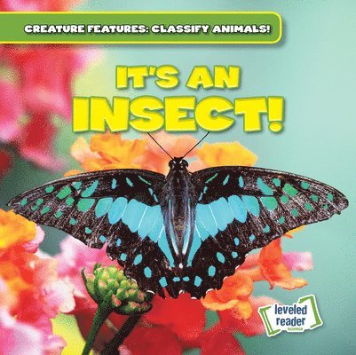 It's an Insect! 1