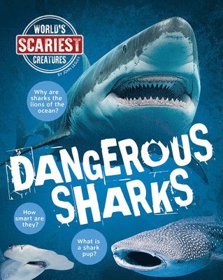 bokomslag Lesley, J: Dangerous Sharks