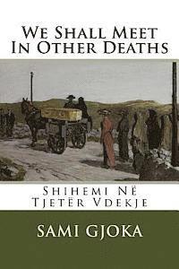 bokomslag We Shall Meet In Other Deaths: Shihemi Në Tjetër Vdekje