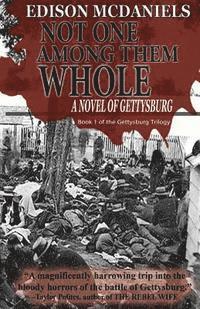 bokomslag Not One Among Them Whole: A Novel of Gettysburg