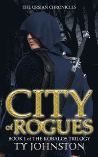 bokomslag City of Rogues