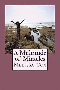 bokomslag A Multitude of Miracles: A Collection of Stories of God's Mercy, Grace and Healing