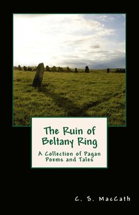 bokomslag The Ruin of Beltany Ring