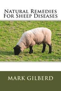 bokomslag Natural Remedies For Sheep Diseases