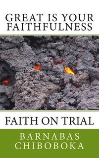 bokomslag Great is Your Faithfulness: Faith on trial through a Pituitary Tumour