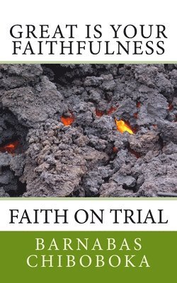 Barnabas Chiboboka Azica - Great is Your Faithfulness: Faith on trial through a Pituitary Tumour, Häftad