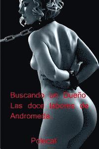 bokomslag Buscando un dueno. Las doce labores de Andromeda.