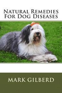 bokomslag Natural Remedies For Dog Diseases