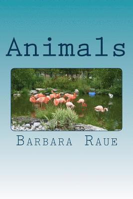 Barbara Raue - Animals, Häftad