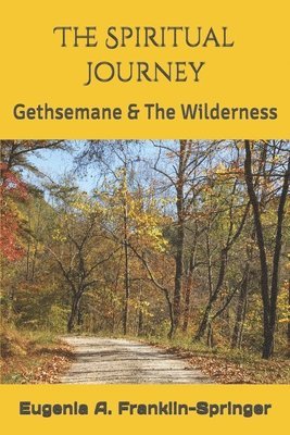 bokomslag The Spiritual Journey: Gethsemane & The Wilderness