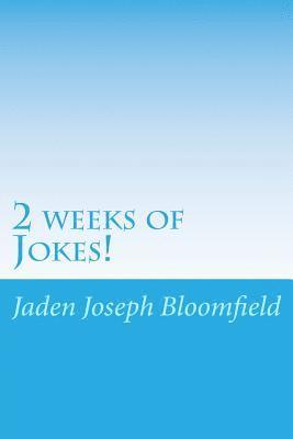 bokomslag 2 weeks of Jokes!: Some jokes you just simply need to know!