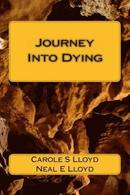 bokomslag Journey Into Dying