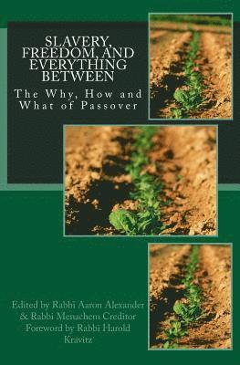 Aaron Alexander - Slavery, Freedom, and Everything Between: The Why, How and What of Passover, Häftad