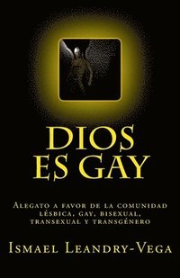 bokomslag Dios es gay
