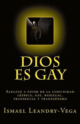 bokomslag Dios es gay