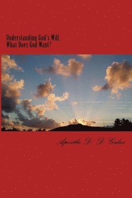bokomslag Understanding God's Will: What Does God Want?