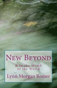 bokomslag New Beyond & In The Womb of the World: Poems from the Heart of Special-Needs Parenting