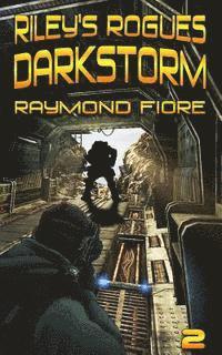 bokomslag Riley's Rogues: Darkstorm