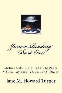 Junior Reading Books: Mother Cat's Story, The Old Photo Album, My Bike is Gone, and others. 1