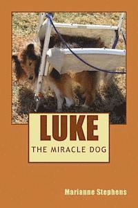 bokomslag Luke - The Miracle Dog
